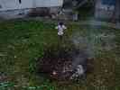 thumb_resize_dsc01737.jpg